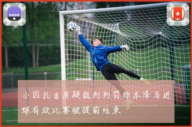 小因扎吉质疑裁判判罚称本泽马进球有效比赛被提前结束